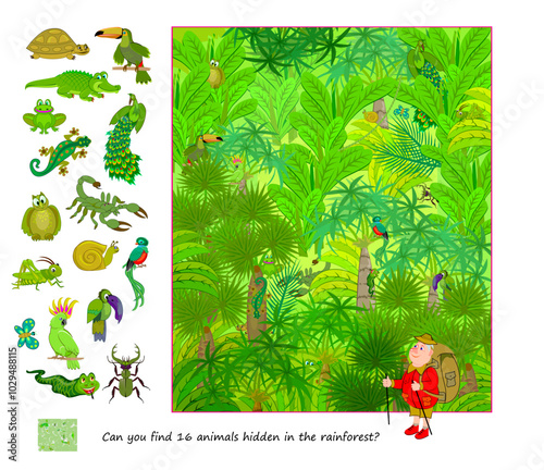 Can you find 16 animals hidden in the rain forest? Logic puzzle for children and adults. Illustration of the jungle and its inhabitants. I spy game. Education page for kids. Flat vector drawing.