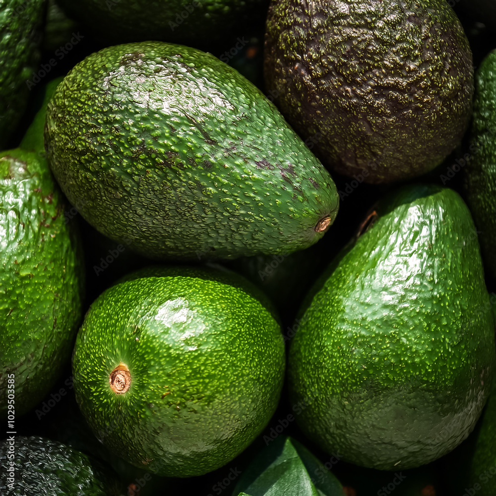 Fresh a pile of close-up Some avocado, alligator pear or avocado pear texture, pattern background Fresh a pile of close-up Some avocado, alligator pear or avocado pear texture, pattern background