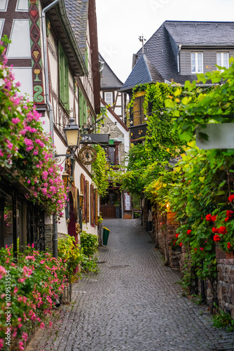 Old narrow European street with colorful flowers and grapevines in Rüdesheim am Rhein, Germany