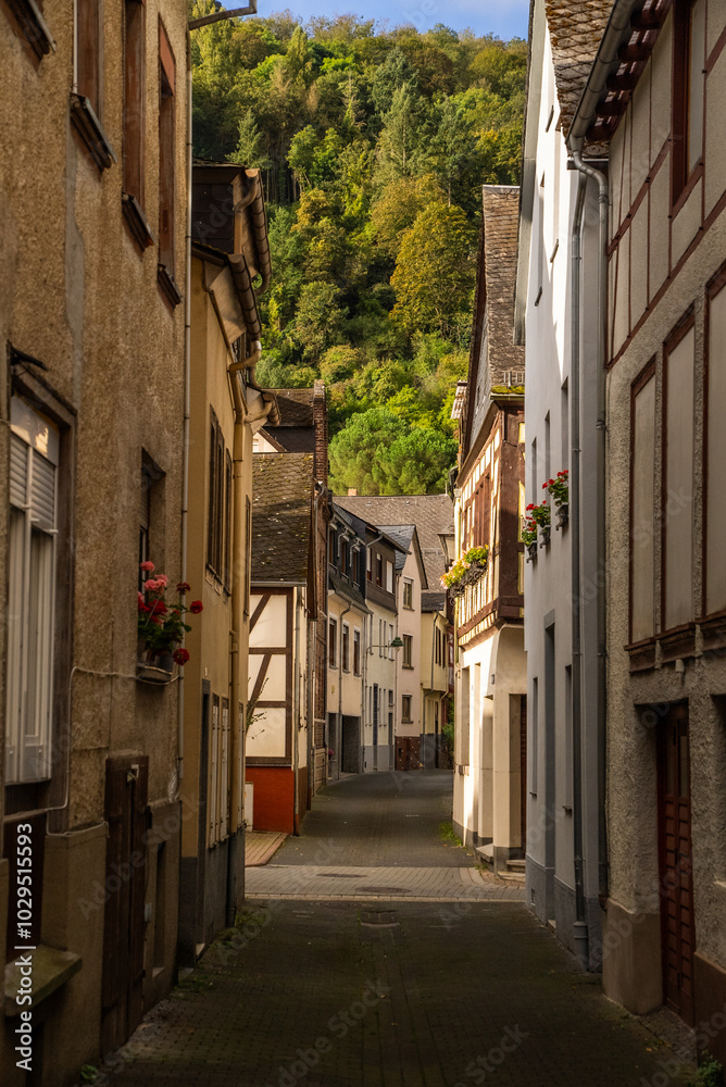 Narrow cobblestone alley with half timber buildings in the old medieval town of Oberwesel, Germany Narrow cobblestone alley with half timber buildings in the old medieval town of Oberwesel, Germany