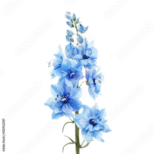 Watercolor Painting of Bellflowers on transparent background