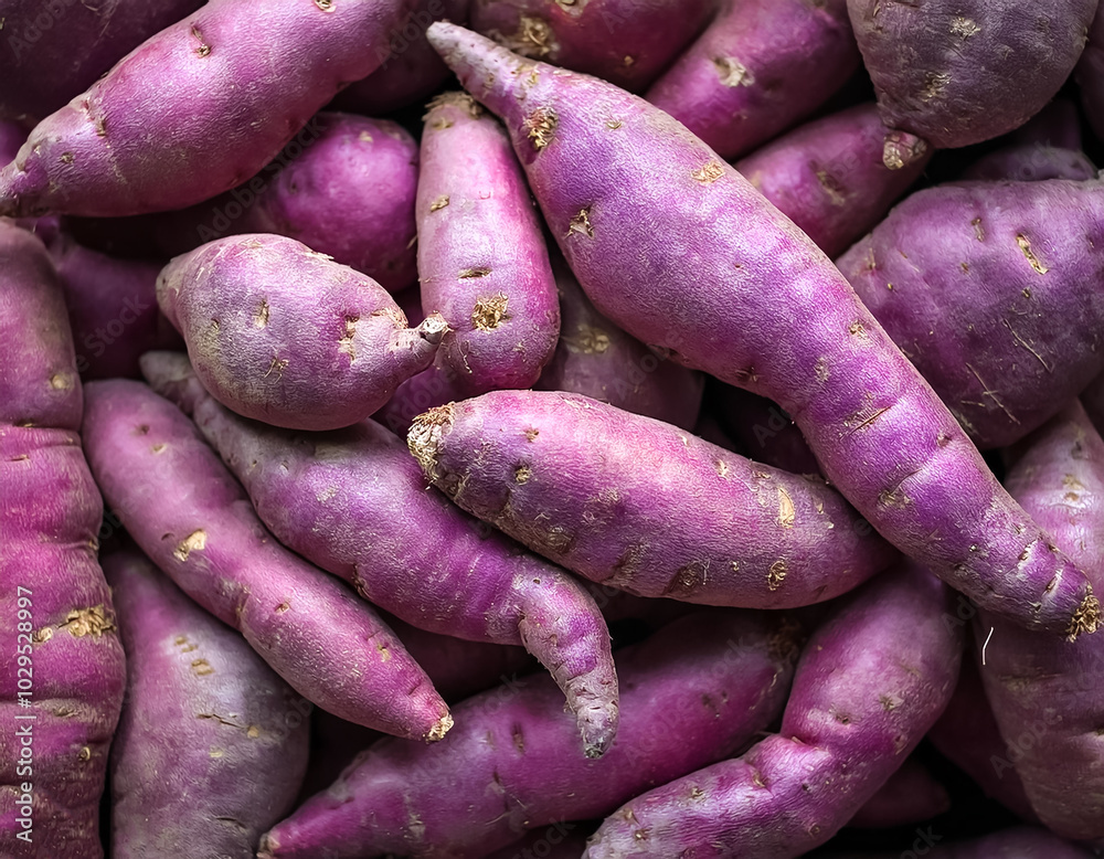 Fresh a pile of close-up Some purple sweet yam texture, pattern background Fresh a pile of close-up Some purple sweet yam texture, pattern background