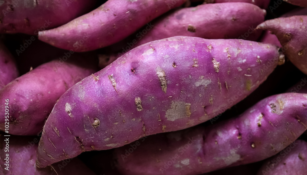 Fresh a pile of close-up Some purple sweet yam texture, pattern background Fresh a pile of close-up Some purple sweet yam texture, pattern background