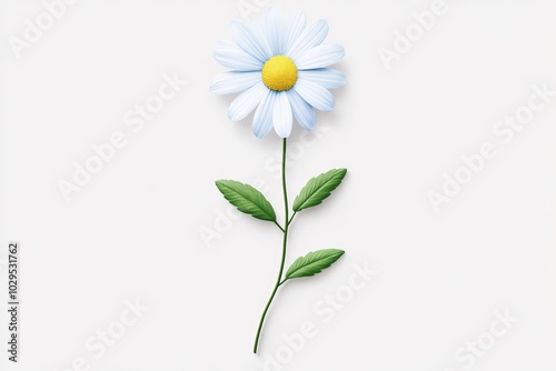 A beautiful daisy flower with white petals and yellow center on a white background.