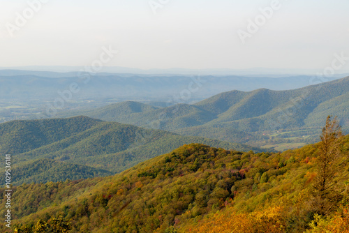 Autumn in the Mountains Landscape