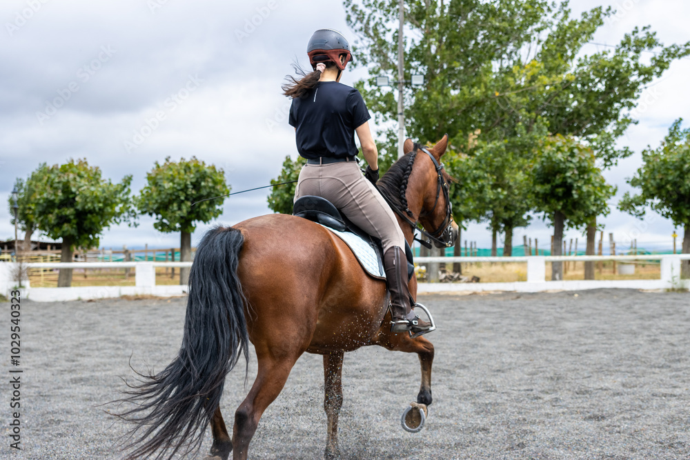 girl riding brown horse in equestrian practice girl riding brown horse in equestrian practice