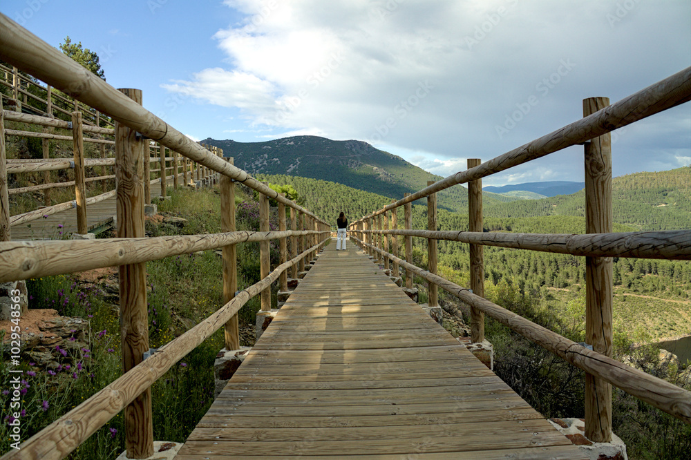 Obraz premium Wood footbridge in a nature environment