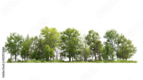 Scenic view of a lush green tree line on a clear day, highlighting the beauty of nature and tranquility. Perfect for nature-themed projects. photo