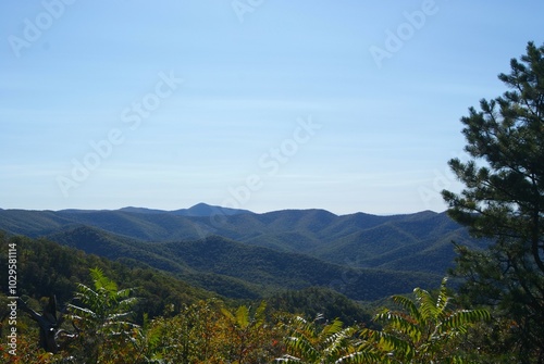 Blue Ridge Mountain Cove