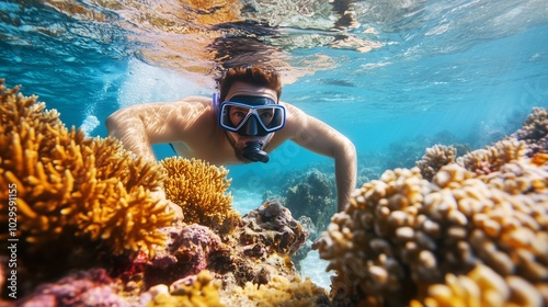 Fototapeta Naklejka Na Ścianę i Meble -  Underwater snorkeling adventure in vibrant coral reefs during a sunny day at the ocean