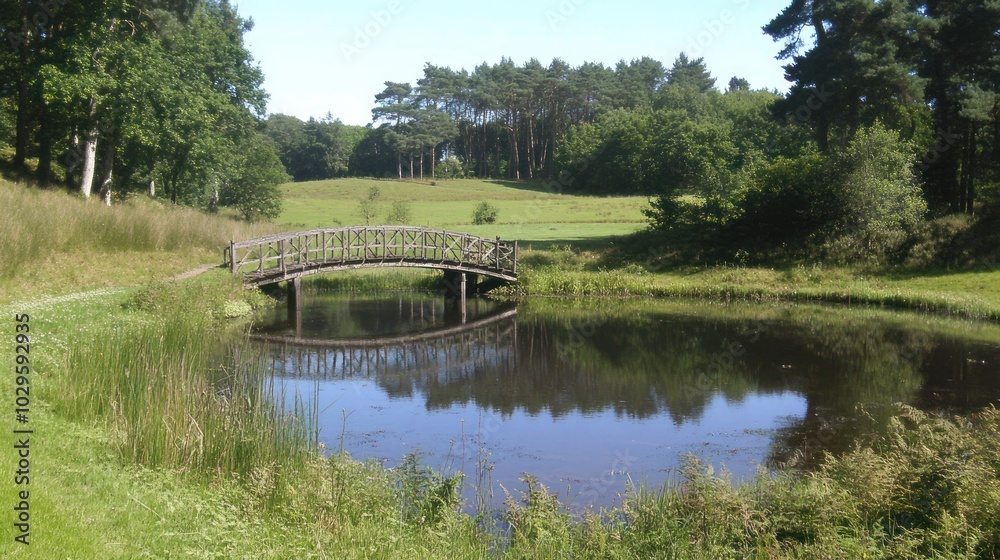 Obraz premium Wooden Bridge Over a Calm Pond in a Lush Forest Setting