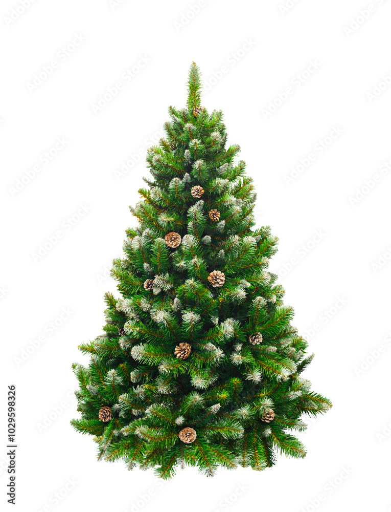 Fototapeta premium A Christmas tree with pinecones on it. The tree is green and has a lot of pinecones on it
