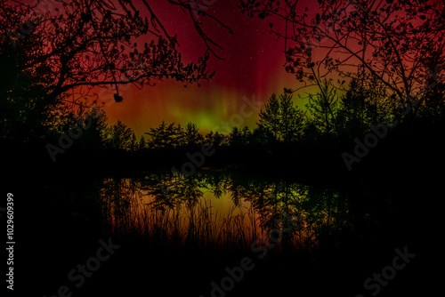 Gentle aurora curtains of red and green dance over a small pond