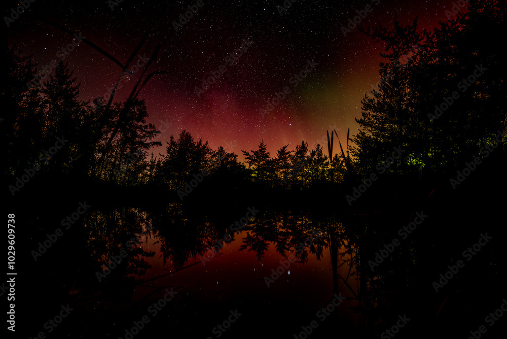 Beautiful red Aurora Borealis and starry night reflected in a woodland pond Beautiful red Aurora Borealis and starry night reflected in a woodland pond