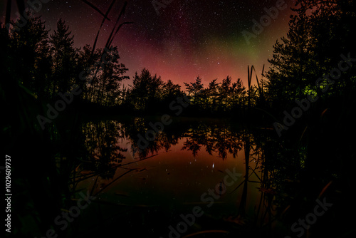 Starry night with crisp aurora over a small pond