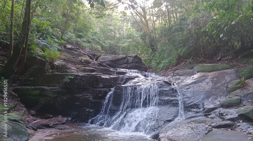 A serene waterfall cascading over rocks in a lush forest setting. A serene waterfall cascading over rocks in a lush forest setting.