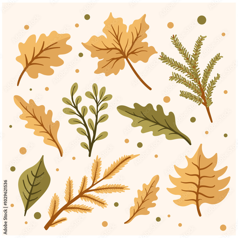 Set of autumn leaves, branches, acorns and cones