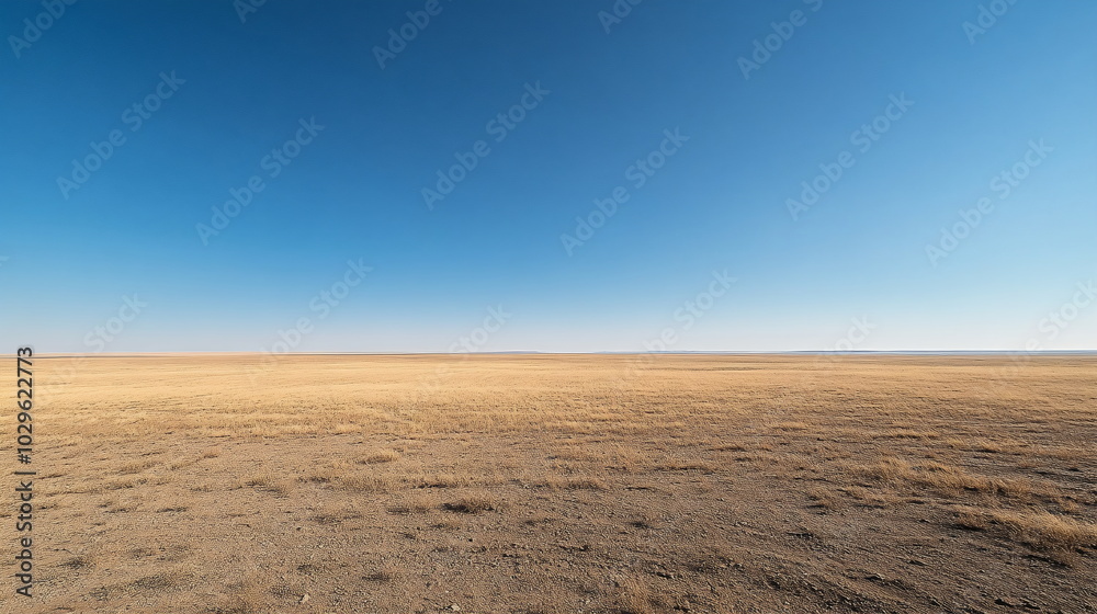 Naklejka premium Endless Horizons of Desert Roads and Open Skies