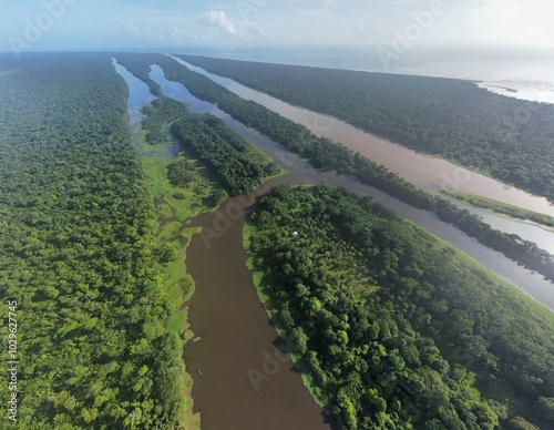 Zona atlántica de Costa Rica, ríos enormes y mucha vegetación. photo