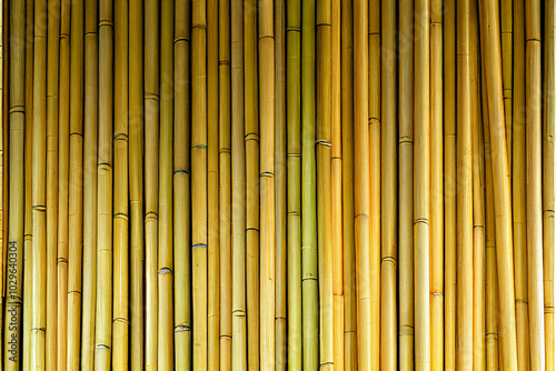 Wallpaper Mural Bamboo texture background featuring vertical alignment in a natural earthy tone for eco friendly design, Asian inspired themes and nature projects emphasizing calmness, serenity and organic aesthetics Torontodigital.ca