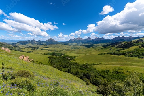 Lush meadow dotted with wildflowers, stretching toward distant hills