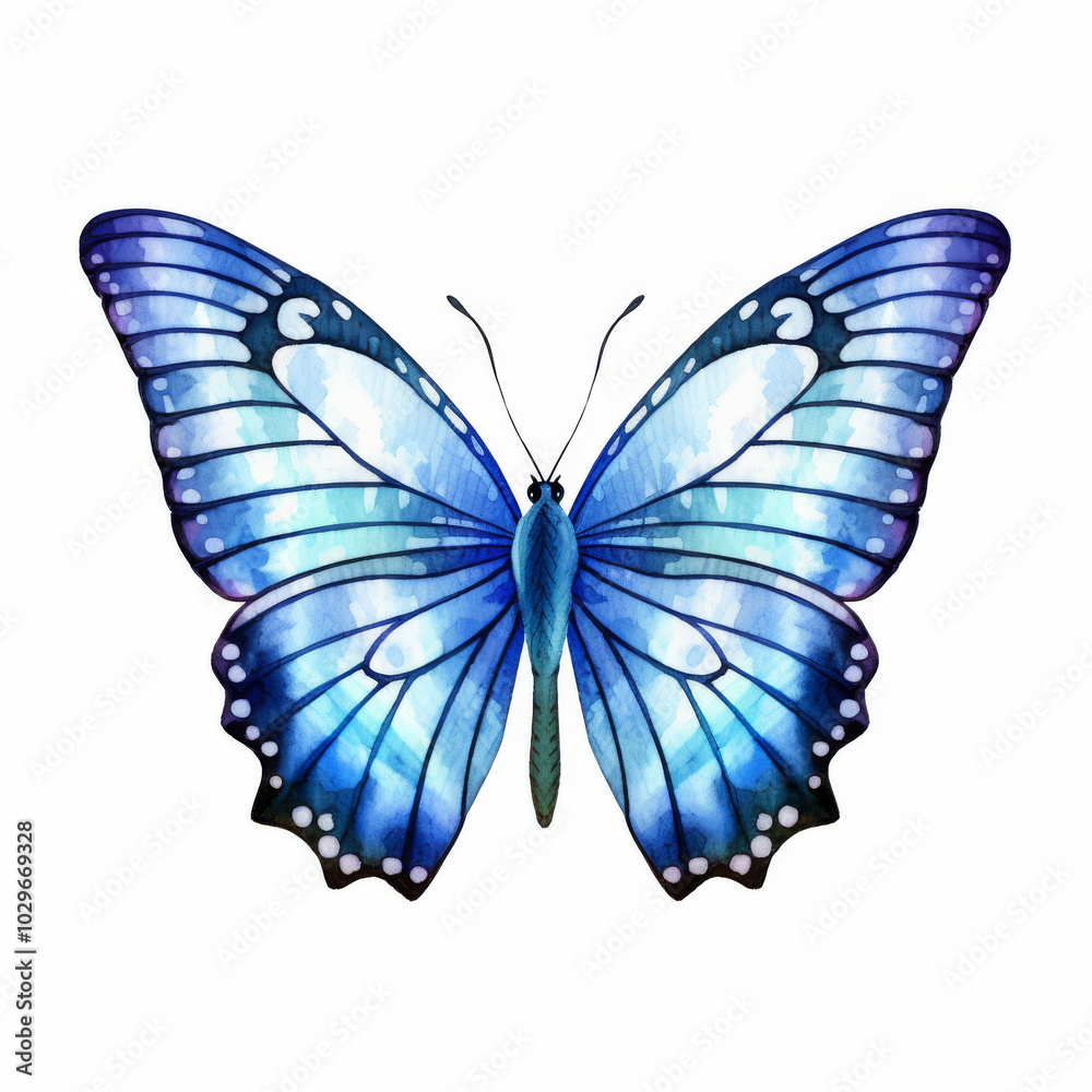 Fototapeta premium Beautiful Blue Butterfly Illustration with Exquisite Wing Patterns, Ideal for Nature and Wildlife Themes