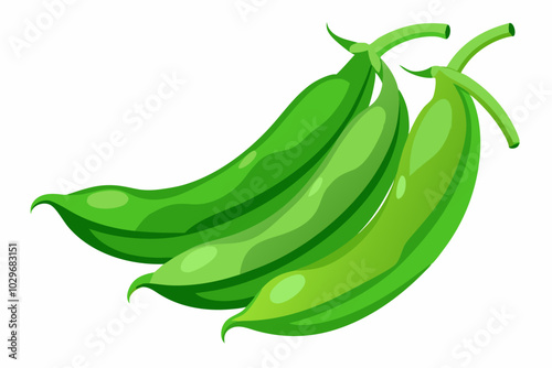 Fresh green beans on white background