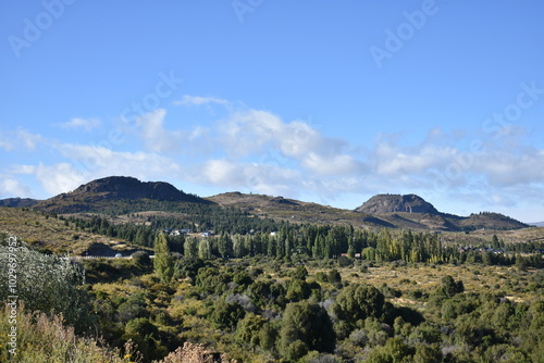 Mountain and forest