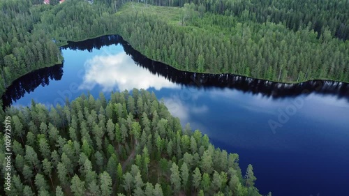 Cloud reflects in vibrant blue lake surface in boreal forest, aerial photo