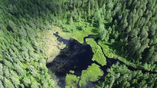 Low aerial flyover of green boggy boreal wetland wilderness marsh photo