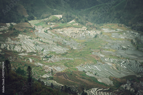 Close up on the Yuanyang rice terraces in Laohuzui area, Yunnan, China photo