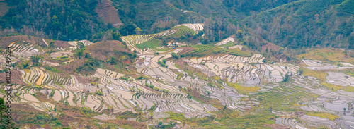 Infinite rice fields at Laohuzui aka Tiger Mouth in Yuanyang, China photo