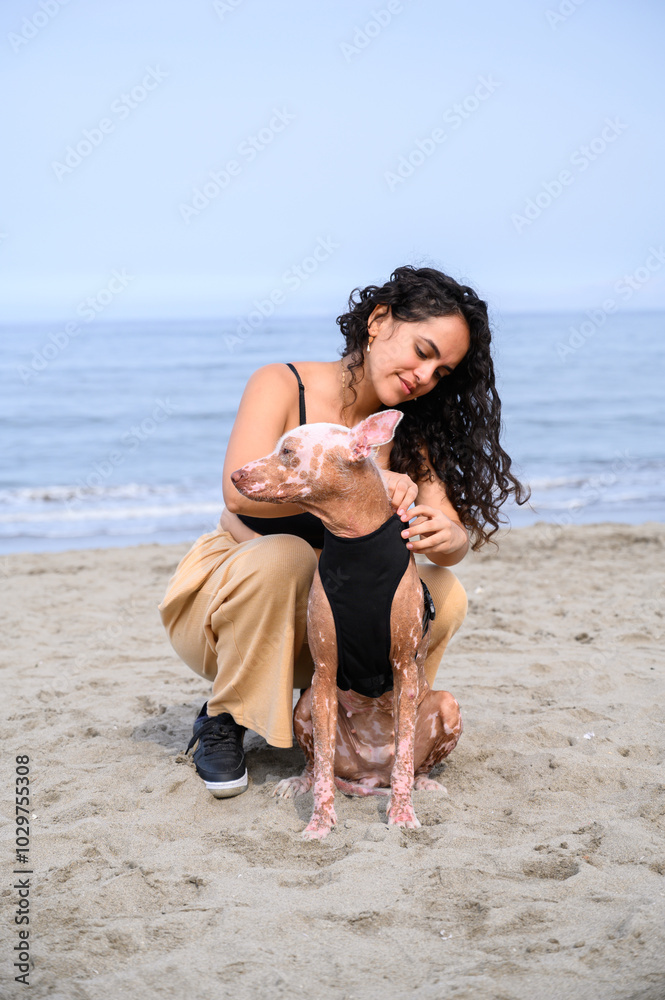 Young woman is crouching on the beach adjusting the clothes of her hairless dog Young woman is crouching on the beach adjusting the clothes of her hairless dog