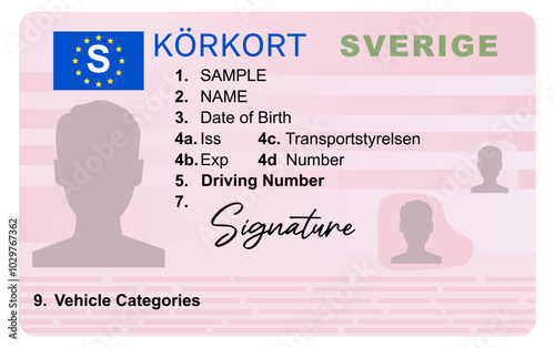Swedish driving license isolated on white background. Person driver license.