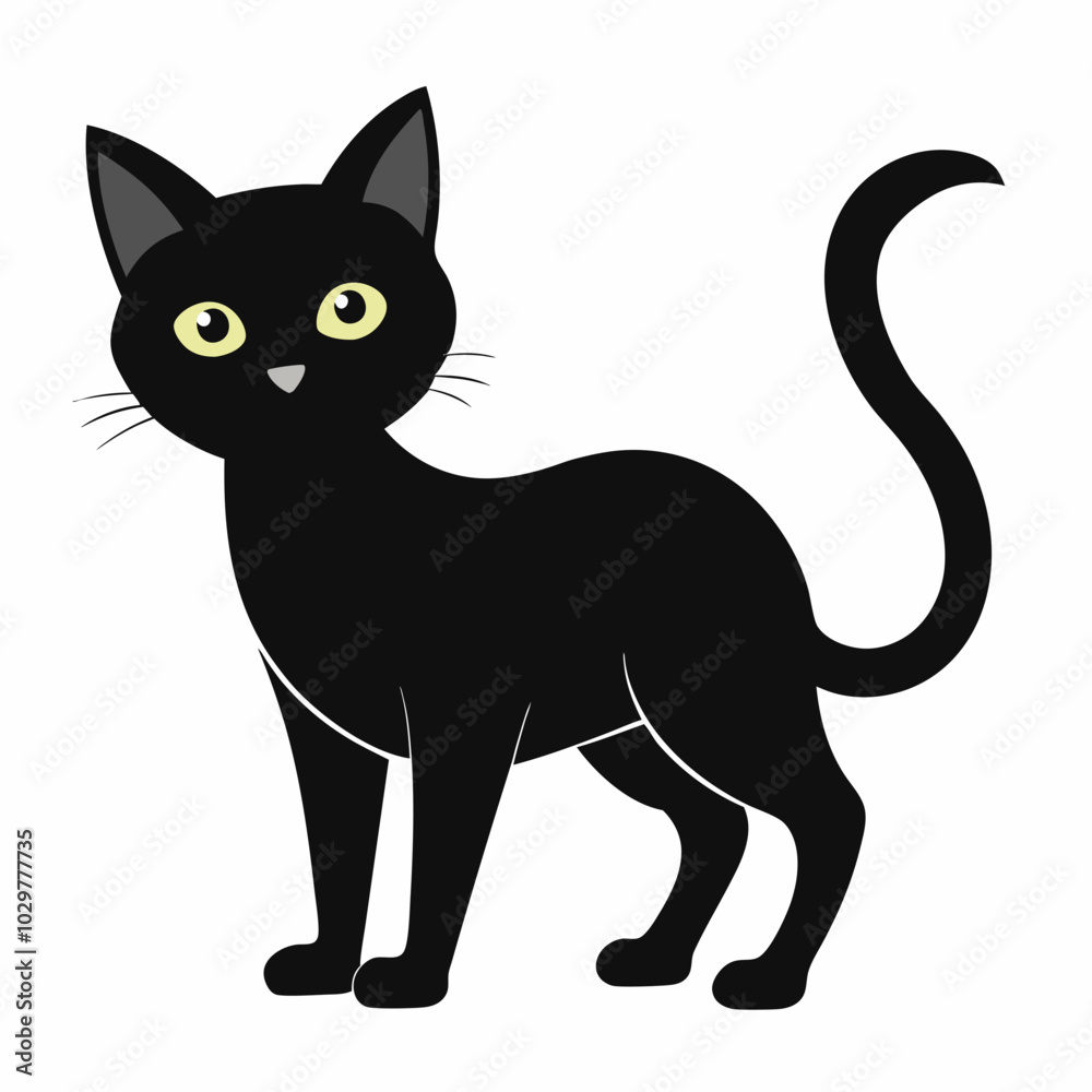 black and white cat black and white cat