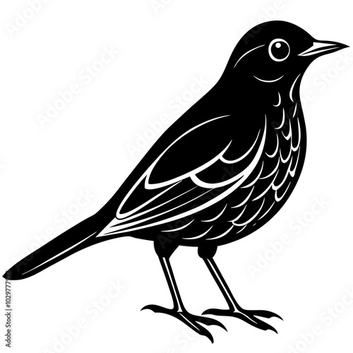 thrush silhouette vector isolated on a white background