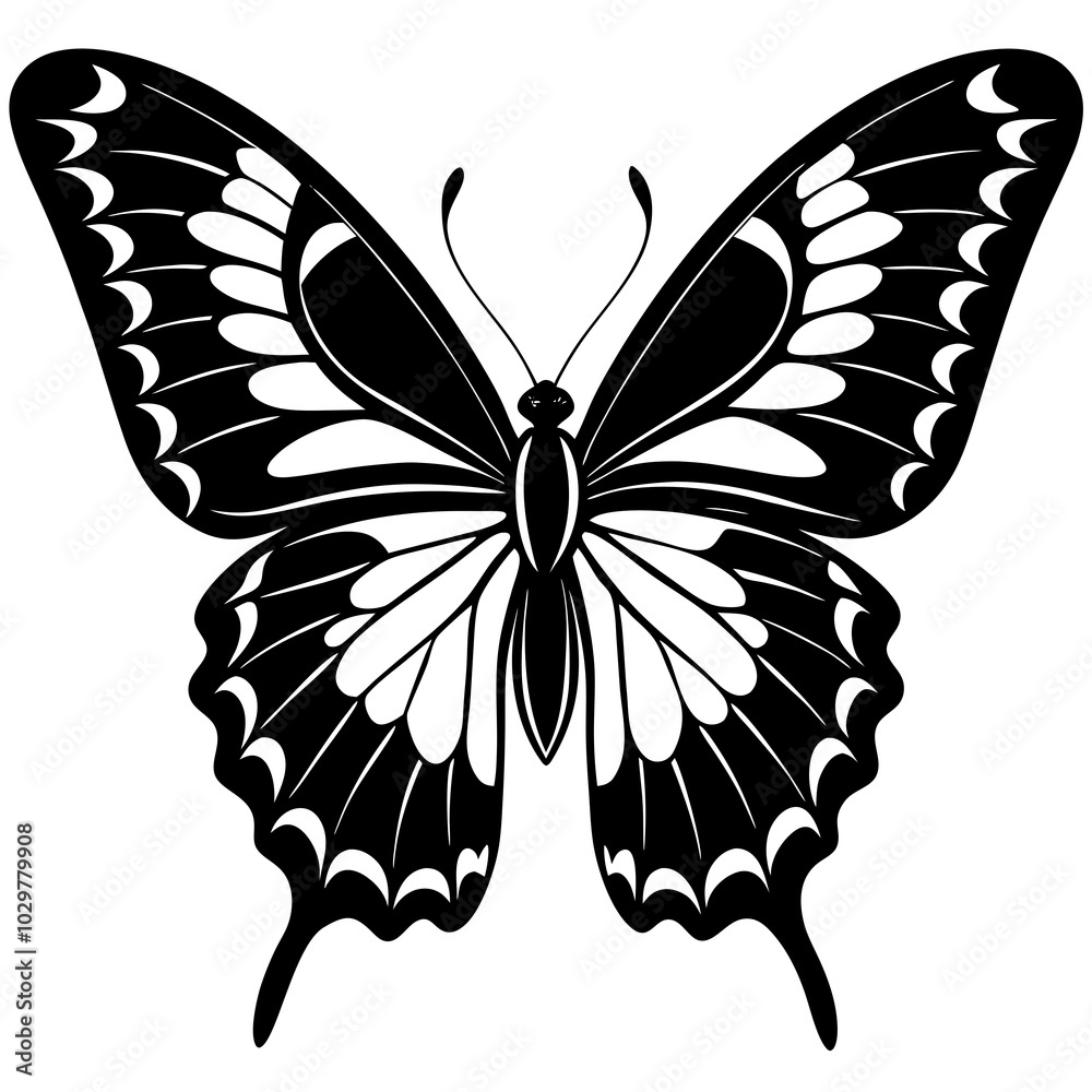butterfly isolated on white butterfly isolated on white