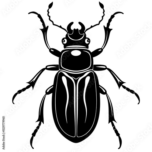 state potato beetle