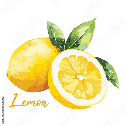 lemon in watercolor illustration style, isolated vector on white background