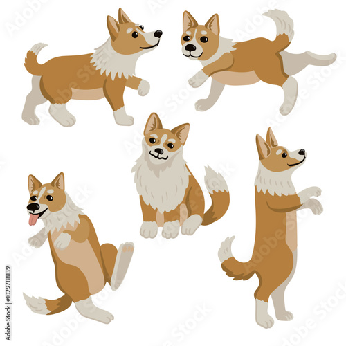 vector drawing cute puppy, sitting little dogs, welsh corgi at white background, hand drawn illustration