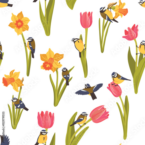 red tulips , yellow narcissus and blue tits, spring flowers and birds, vector drawing seamless pattern with flowering plants at white background, hand drawn botanical illustration