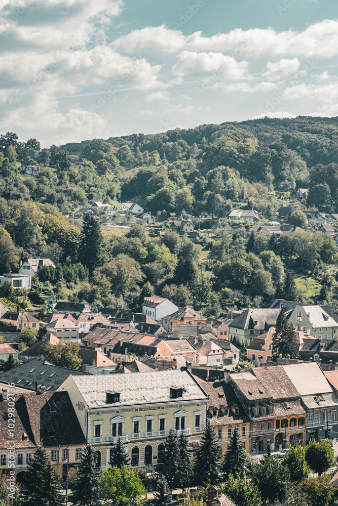 Naklejka premium Roofs of Sighisoara Romania