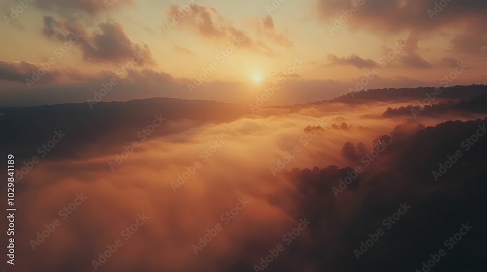 Serene Foggy Landscape at Sunset Serene Foggy Landscape at Sunset