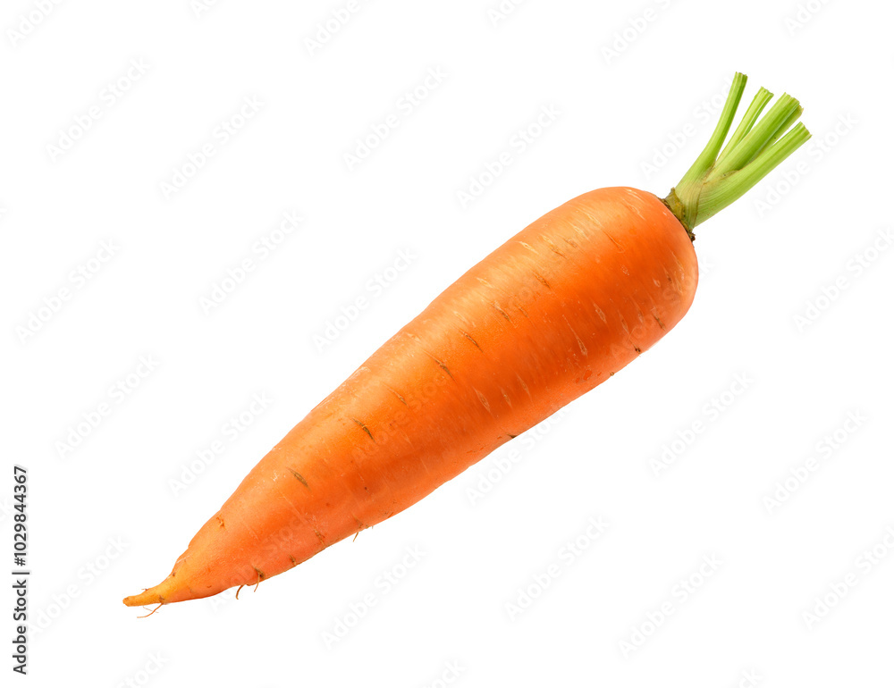 Fresh Carrot isolated on white background. Clipping path. Fresh Carrot isolated on white background. Clipping path.