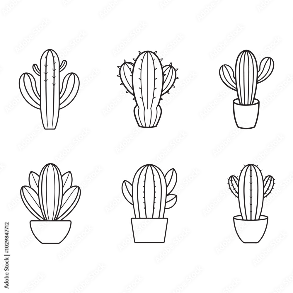 Cactus plant vector Cactus plant vector