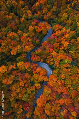 New England Scenic Byway. Smuggler's Notch Stowe Vermont Aerial Drone Birds Eye View Curved Paved Road Through Colorful Fall Foliage Forest. photo