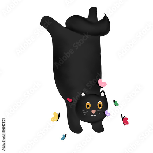 it's About Cat