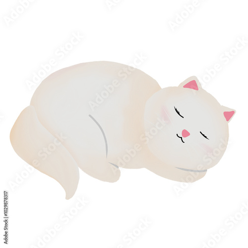 it's About Cat