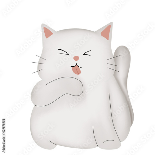it's About Cat