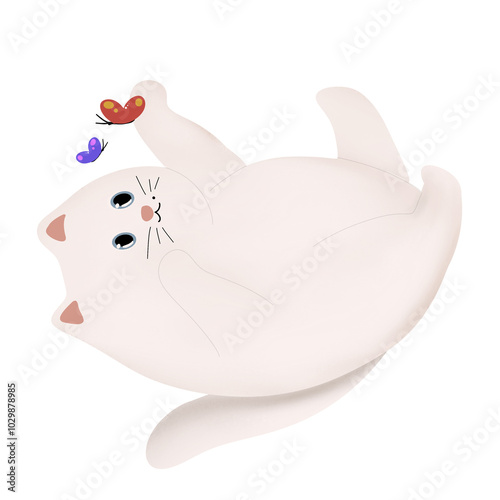 it's About Cat